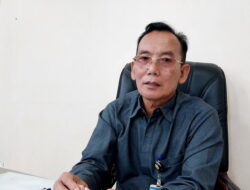 Sudah Ada 368 Kasus DBD, Kadinkes Karimun Minta Masyarakat Aktif PSN 3M Plus