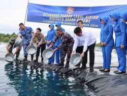 Proyeksikan Panen 4,2 Ton, Bupati Roby dan Lanal Bintan Resmikan Tambak Udang untuk Ketahanan Pangan