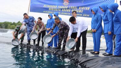 Proyeksikan Panen 4,2 Ton, Bupati Roby dan Lanal Bintan Resmikan Tambak Udang untuk Ketahanan Pangan