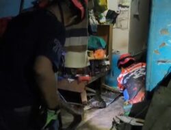 BPBD Damkar Karimun Evakuasi Ular Piton 5 Meter Masuk Rumah Warga