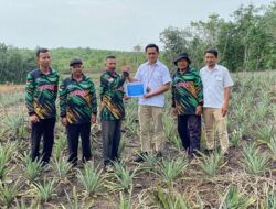 Perkuat Ekonomi Masyarakat, PT Timah Bantu Petani Kundur Lewat Bibit Tanaman