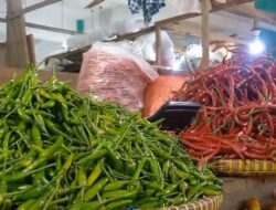 Harga Kebutuhan Pokok di Kabupaten Karimun Stabil, Stoknya Aman