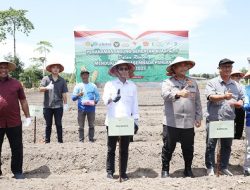 Wali Kota Amsakar Achmad: Sukses Tanam Jagung Akan Tekan Inflasi dan Jaga Daya Beli Masyarakat Batam