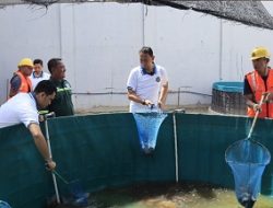 Lapas Batam dan PBI Sukses Panen 2.100 Ekor Ikan: Warga Binaan Dibekali Keterampilan Mandiri