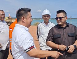 Hidupnya Aktivitas Bongkar Muat di Pelabuhan Tg Moco, Bukti Keberhasilan BP Tanjungpinang