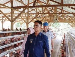Resmikan Peternakan Ayam Petelur Bumdes Pongkar Jaya, ini Harapan Bupati Iskandarsyah