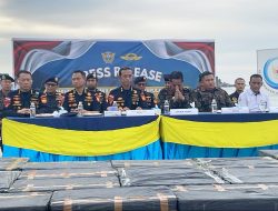 Kanwil DJBC Khusus Kepri Gagalkan Penyelundupan Benih Bening Lobster Rp 28,1 Miliar
