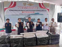 BC Kepri Kembali Gagalkan Penyelundupan Benih Lobster Senilai Rp 12,9 Miliar