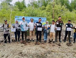 PT Timah Tanam Ribuan Mangrove di Pantai Kobel Kundur