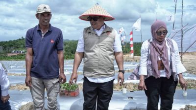Atasi Defisit Produksi, Wagub Nyanyang Dorong Penanaman Cabai Perdana di Galang Baru