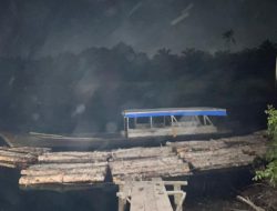 Gempur Pembalakan Liar, Polres Bengkalis Amankan Kayu Sebanyak 8 Truk di Sungai Nibung