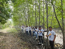 Dari Berita ke Aksi: Ketika Pers Mengajak Menteri Menanam Mangrove di Bintan