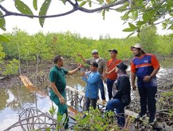 Besok, Menteri Raja Juli Antoni Tanam Mangrove di Bekas Tambak Sungai Tiram Bintan
