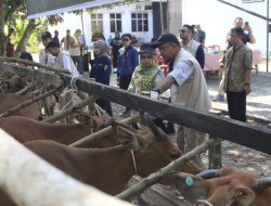 Perangi PMK, Riau Terima 20 Ribu Dosis Vaksin untuk Amankan Hewan Ternak
