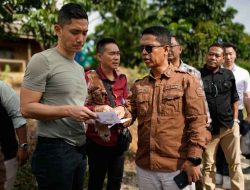 Investasi Rp28 Triliun! Gotion High-Tech Jajaki Bangun PLTS Raksasa 2 GW di Pulau Belat
