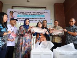 Riki Rionaldi: Ekspor Fillet Ikan Anggoli Bukti Produk Olahan Kepri Mampu Bersaing di Pasar Internasional