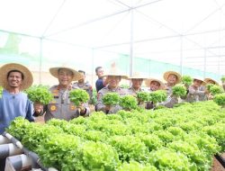 Dukung Ketahanan Pangan, Kapolda Kepri Pimpin Panen Perdana Sayur Hidroponik di Batam