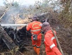 Riau Membara! Manggala Agni Berjibaku Padamkan Ribuan Hektare Karhutla
