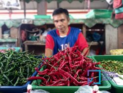Plt Gubri SF Hariyanto Turun Langsung ke Rohil, Pastikan Stok Pangan Murah Tersedia Bagi Warga