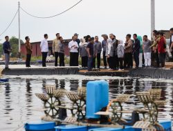 Komisi IX DPR RI Tinjau Tambak Udang Vaname di Tanjungpinang, Soroti Perlindungan Tenaga Kerja Perikanan