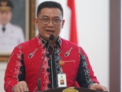 Dongkrak Produksi Daging, Pemprov Riau Manfaatkan Lahan Sawit Jadi Area Peternakan Sapi