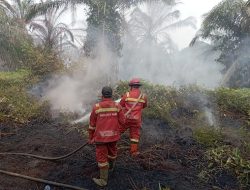 Antisipasi Titik Api Baru, Balai Dalkarhut Sumatera Kirim Personel Tambahan ke Pulau Mendol