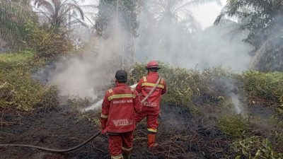 Antisipasi Titik Api Baru, Balai Dalkarhut Sumatera Kirim Personel Tambahan ke Pulau Mendol