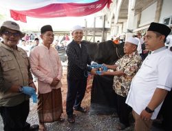 Bupati Indragiri Hilir Salurkan Sapi Kurban Jumbo Presiden RI untuk Warga Kota Baru Reteh