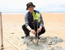 Amsakar Achmad dan Mahasiswa Unrika Tanam 2.000 Mangrove di Nongsa