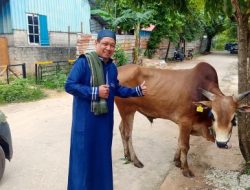 Penuh Syukur, Komunitas Jurnalis Kepri Sembelih 1 Sapi dan 1 Kambing saat Iduladha