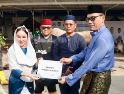 Plh Wali Kota Li Claudia Chandra Serahkan Sapi Kurban Presiden Prabowo di Masjid Agung Batam