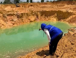 BP Batam Pulihkan 100 Ribu Meter Persegi Lahan Bekas Tambang Pasir Ilegal