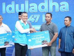 Naik Tiga Kali Lipat, PT PLN Batam Salurkan Puluhan Hewan Kurban untuk Jemaah Masjid