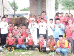 Masjid At-Taubah Tanjungpinang Terima Sapi Kurban Jumbo Simental Cross dari Presiden RI