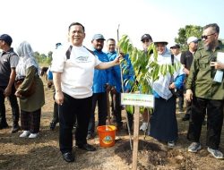 Peringati Hari Jadi ke-69 Riau, Pemprov Agendakan Tanam 1.000 Pohon di Stadion Utama