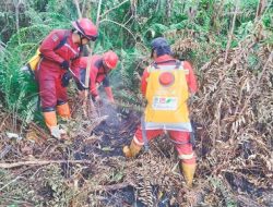 Karhutla Riau Mengganas, Manggala Agni Kepung Kepala Api di Pekaitan dan Pulau Rupat